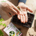 Person holding soil with a seedling tray and Anand Greens packaging on a wooden surface