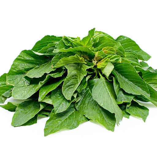 Green Amaranthus ( हरा साग ) Seeds