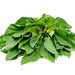 Green Amaranthus ( हरा साग ) Seeds