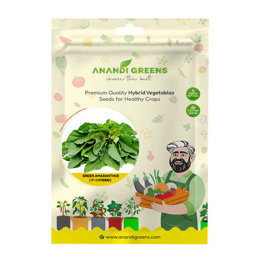 Green Amaranthus ( हरा साग ) Seeds