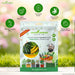 Green Zucchini and Yellow Zucchini Seeds Packet