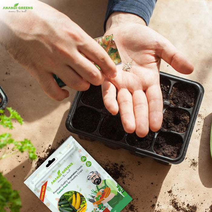 A person's hands are shown planting seeds into a black plastic seed starter tray filled with soil, with a packet of Amano Greens vegetable seed starter cubes placed nearby on a wooden surface.