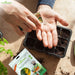 A person's hands are shown planting seeds into a black plastic seed starter tray filled with soil, with a packet of Amano Greens vegetable seed starter cubes placed nearby on a wooden surface.
