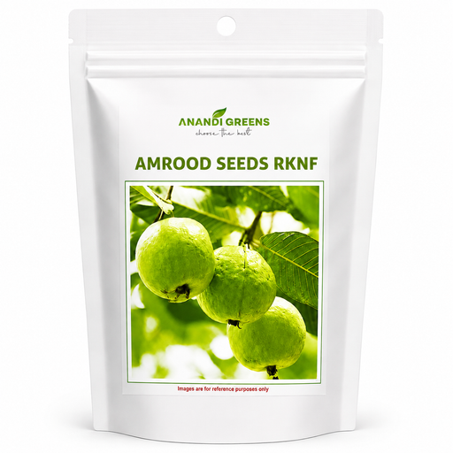 Guava (अमरुद) Seeds