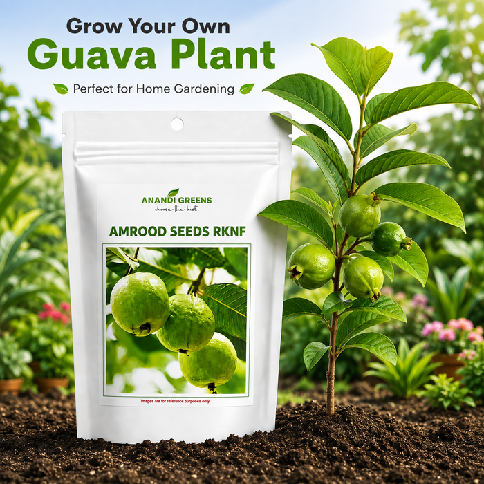 Guava (अमरुद) Seeds