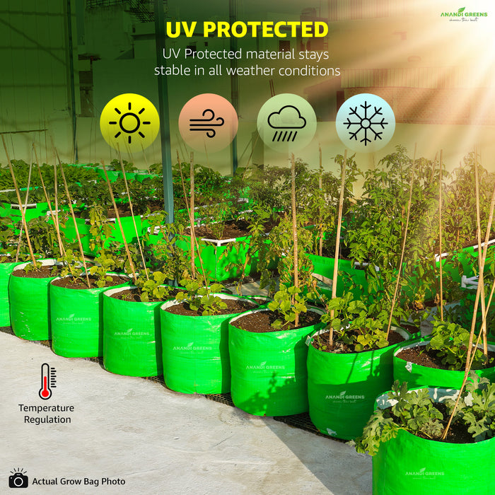 Row of green plants in pots with UV protection features highlighted