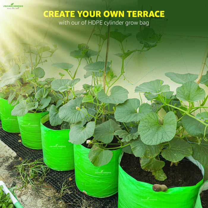 Green plants in HDPE cylinder grow bags with text promoting terrace gardening.