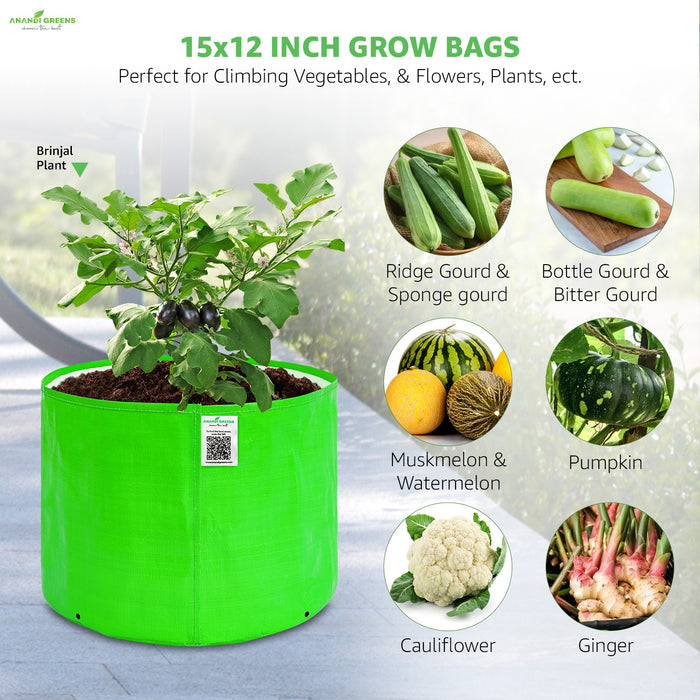 Green grow bag with plants and vegetables on a light gray background