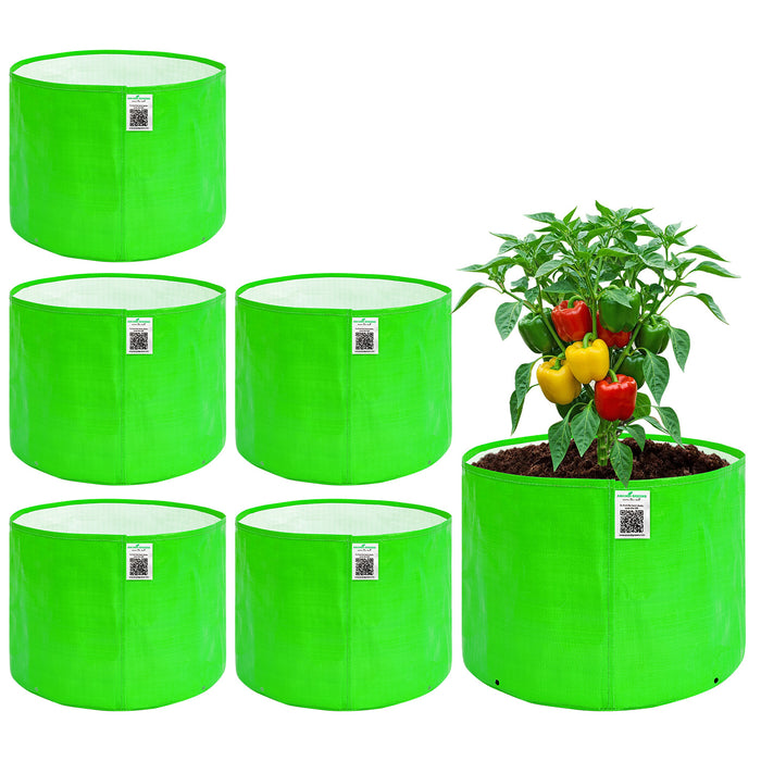 Set of green fabric pots with a plant and fruits on a white background