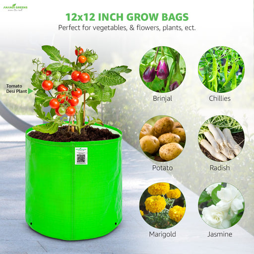 Green-grow-bag-with-plants-and-images-of-vegetables-and-flowers