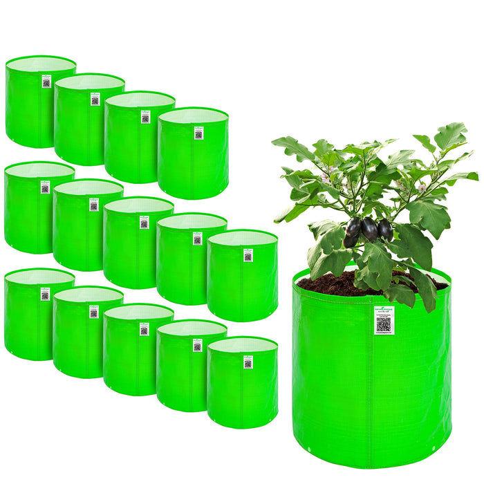 Set of green fabric pots with a plant on a white background