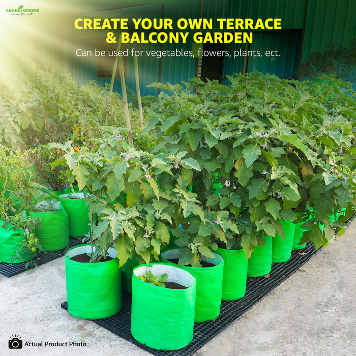 Terrace and balcony garden setup with green plants in pots.
