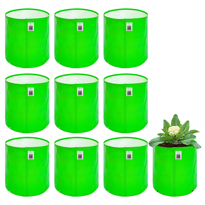 Set of green fabric planters with a single pot containing a plant on a white background