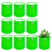 Set of green fabric planters with a single pot containing a plant on a white background