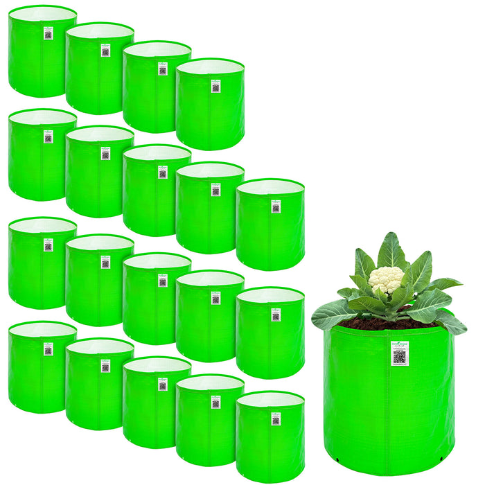 Multiple green fabric pots with a single potted plant on a white background