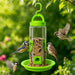 Hanging-Bird-Feeder