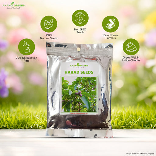Harad seeds, Haritaki, Chebulic Myrobalan seeds