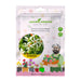 Harsingar Seeds | हरसिंगार बीज (20 seeds)