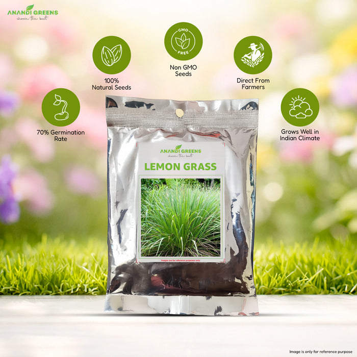 Lemon Grass Seeds