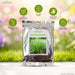 Lemon Grass Seeds