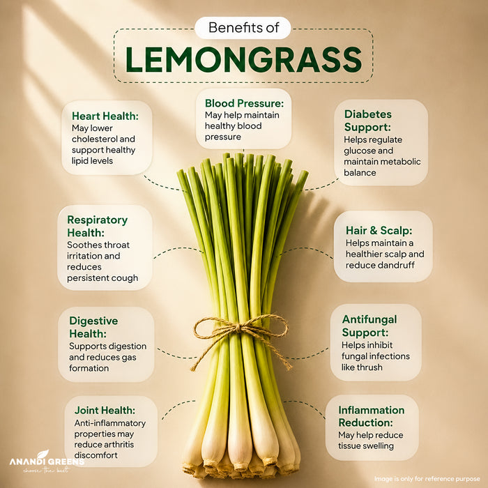 Lemon Grass Seeds