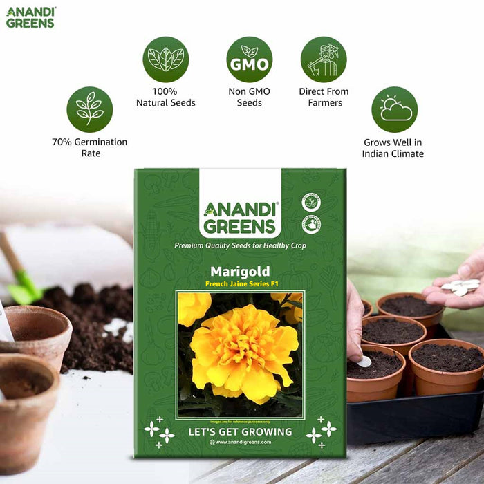 Marigold French Jaine Series F1 Flower Seeds