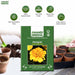 Marigold French Jaine Series F1 Flower Seeds