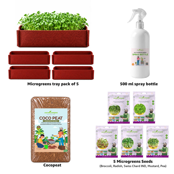 Microgreen Growing Kit Included 500g Cocopeat, Spray Bottle, 5 Growing Bag &amp; 5 Microgreen Seed Varieties broccoli Microgreen, radish Microgreen, swiss chard IND Microgreen , mustard ,pea Microgreen 