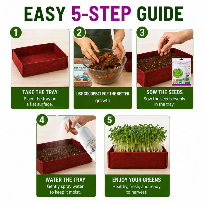 Microgreen Growing Kit Included 500g Cocopeat, Spray Bottle, 5 Growing Bag & 5 Microgreen Seed Varieties