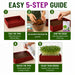 Microgreen Growing Kit Included 500g Cocopeat, Spray Bottle, 5 Growing Bag & 5 Microgreen Seed Varieties