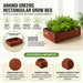 Microgreen Growing Kit Included 500g Cocopeat, Spray Bottle, 5 Growing Bag & 5 Microgreen Seeds