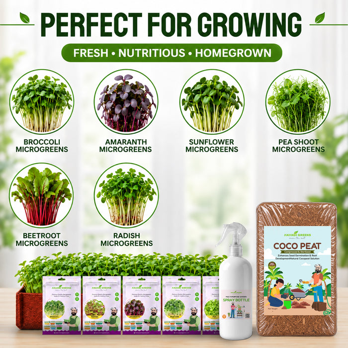 Microgreen Growing Kit Included 500g Cocopeat, Spray Bottle, 5 Growing Bag & 5 Microgreen Seed Varieties Broccoli Microgreen, Amaranthus Micrrogreen, sunflower microgreen, Pea Microgreen, beetroot microgreen, radish microgreen