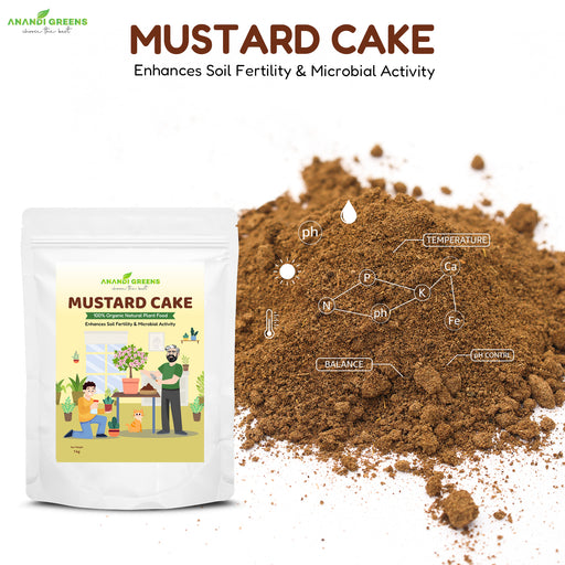 Mustard Cake.