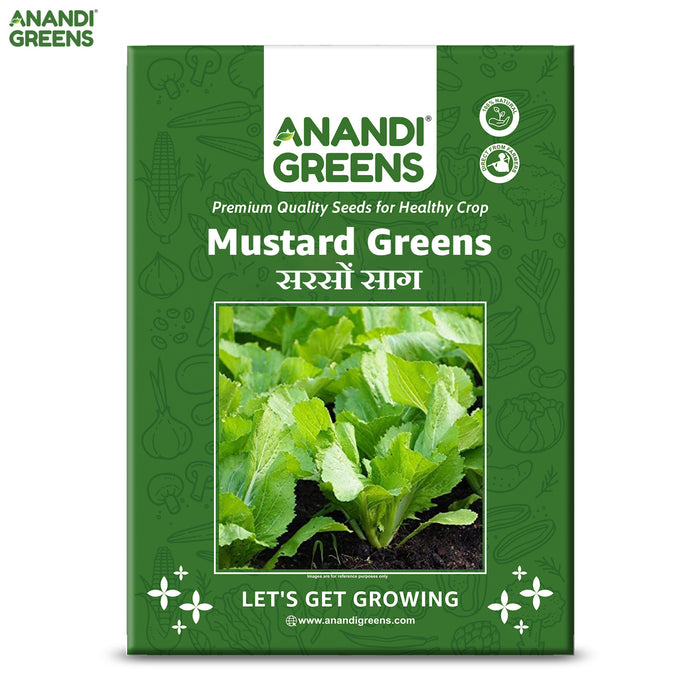 Mustard Greens (Sarson Saag) Seeds