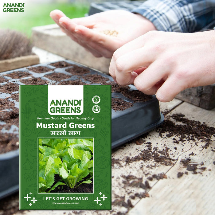 Mustard Greens (Sarson Saag) Seeds