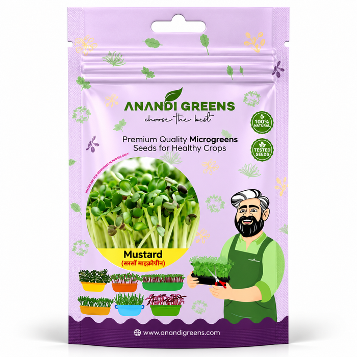 Mustard Microgreens Seeds (सरसों माइक्रोग्रीन)
