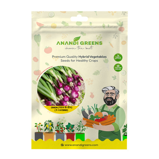 Onion (प्याज के बीज) Bunching Seeds