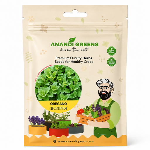 Oregano (अजवायन) Seeds