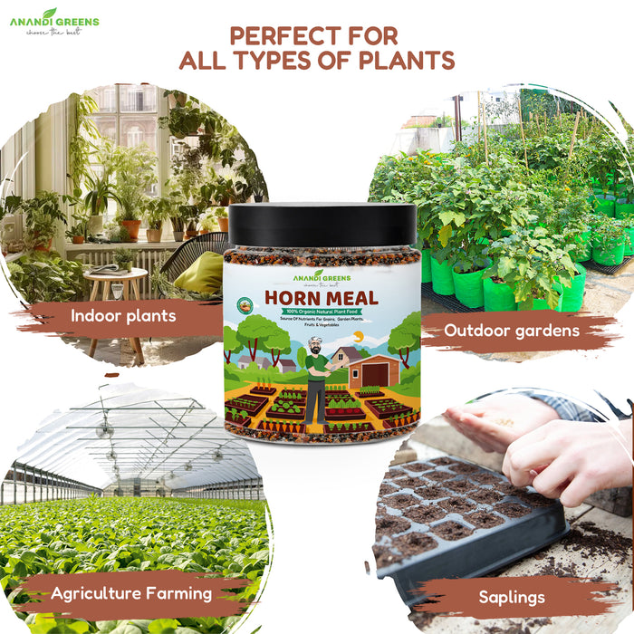 Organic Horn Meal