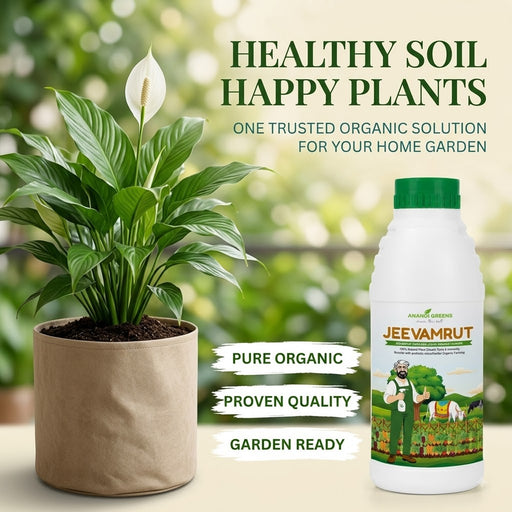 Organic Jeevamrut Liquid Manure for Plants