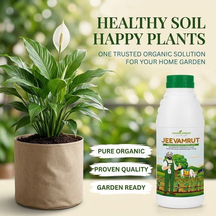 Organic Jeevamrut Liquid Manure for Plants