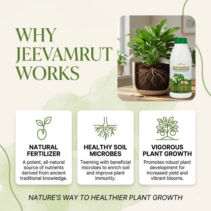 Organic Jeevamrut Liquid Manure for Plants