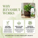 Organic Jeevamrut Liquid Manure for Plants