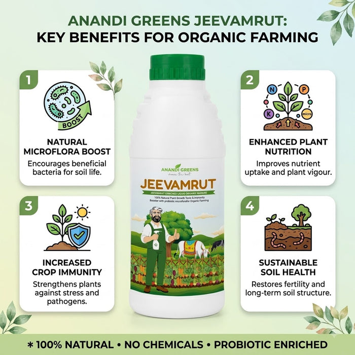 Organic Jeevamrut Liquid Manure for Plants