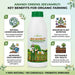 Organic Jeevamrut Liquid Manure for Plants