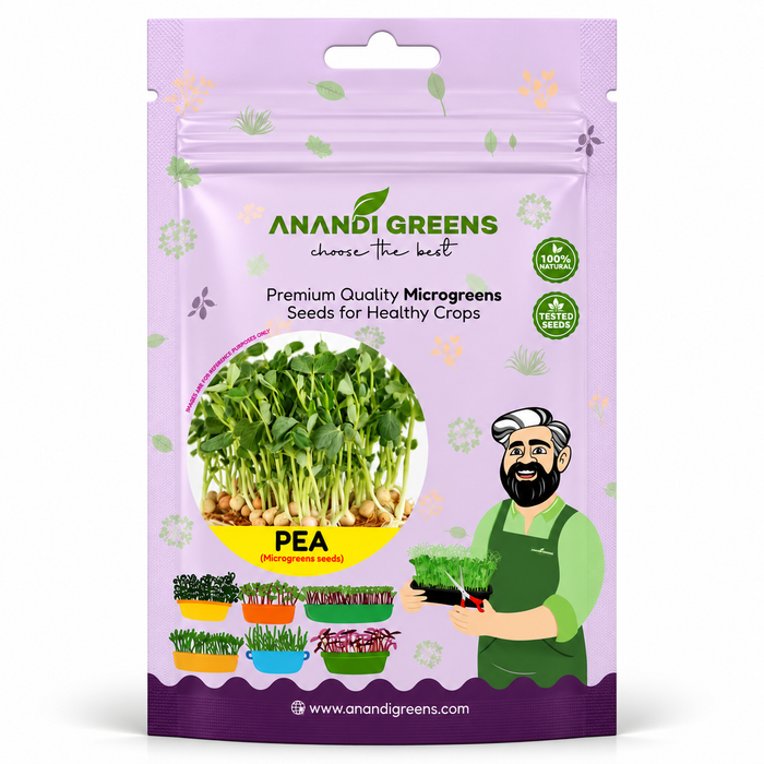 Pea Microgreens Seeds (मटर माइक्रोग्रीन बीज)
