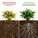 A split comparison graphic showing a potted plant above soil, labeled 'Without Peat Moss' on the left and 'With Peat Moss' on the right. The left side shows yellowing leaves and root issues in dark soil, while the right side shows healthier green leaves and improved root health with blue water and nutrient graphics.
