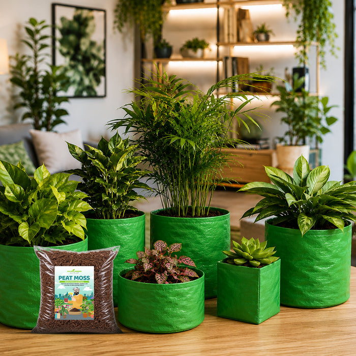 Peat_Moss_Organic_Soil_Conditioner for healthy plant growth