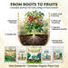 Plant Nutrient Bone Meal, Super Vermicompost Prom, Epsom Salt potash Combo