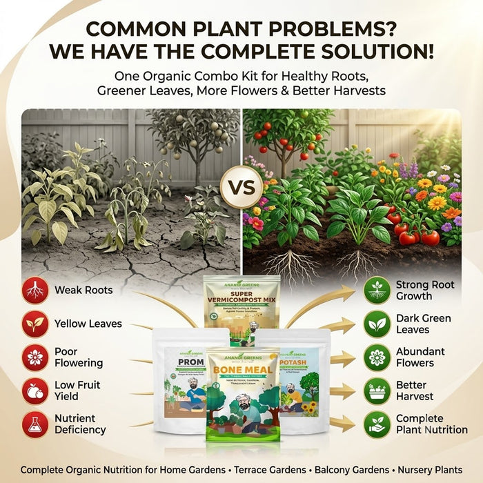 Plant Nutrient Bone Meal, Super Vermicompost Prom, Epsom Salt potash Combo